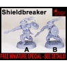 RPG PROMO Shieldbreaker 28mm RPG miniatures  (FREE w/Purchase for every $25 of RPG Miniatures - SEE DETAILS) DARKEST DUNGEON