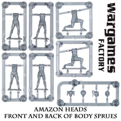 Amazon Warriors! (10) NOW WITH GREEK HELMS! 28mm Ancients WARGAMES FACTORY