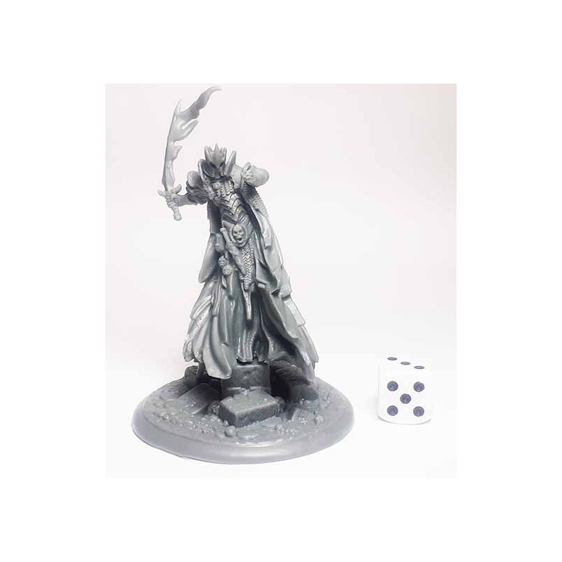 Murkillor the Wraith King REAPER BONES
