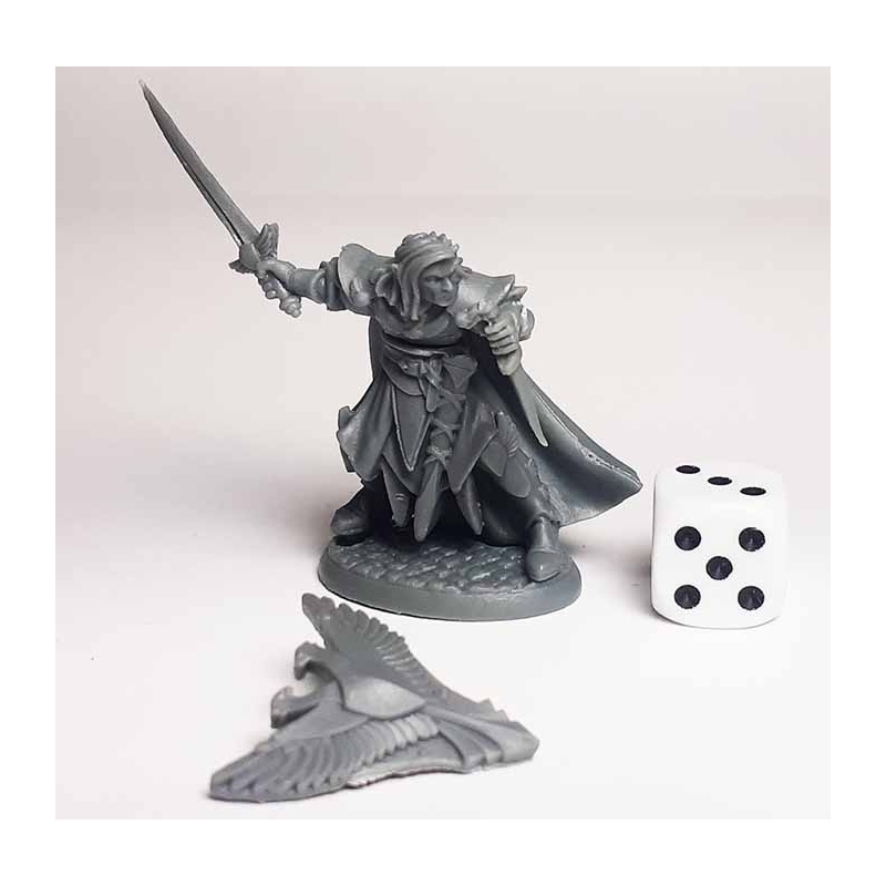 Anduriel, Elf Paladin REAPER BONES