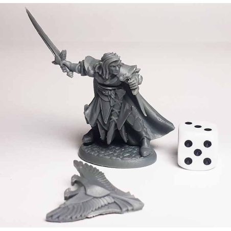 Anduriel, Elf Paladin REAPER BONES