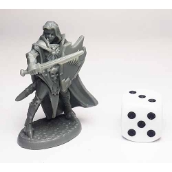 Dark Elf Paladin REAPER BONES
