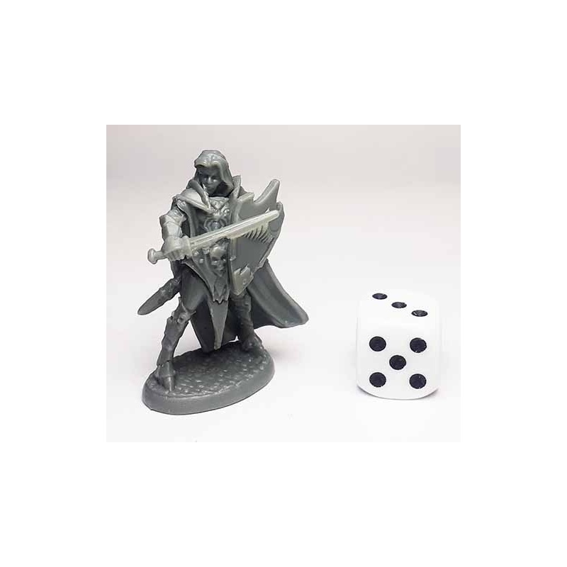 Dark Elf Paladin REAPER BONES