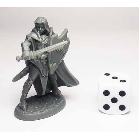 Dark Elf Paladin REAPER BONES