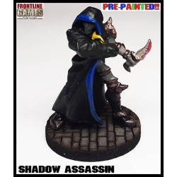 Shadow Assassin PRE PAINTED RPG 28MM MINIATURES