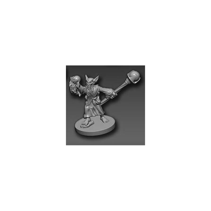 Heroic Goblin Mage REAPER BONES