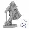 Blood Wolves Swashbuckler REAPER BONES