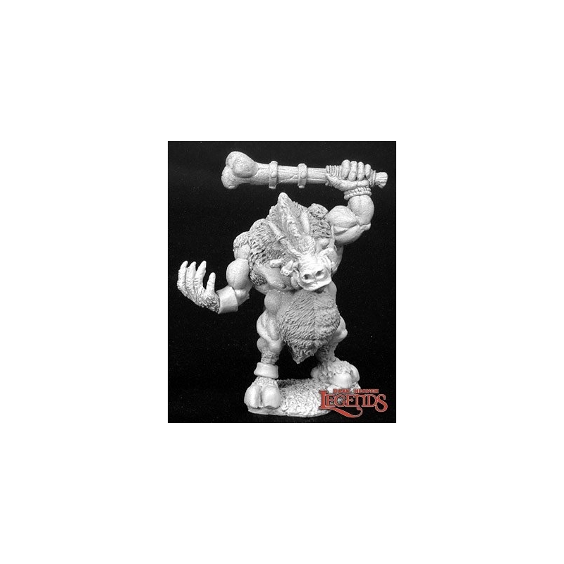 G'nort, Dire Wereboar DARK HEAVEN LEGENDS REAPER MINIATURES