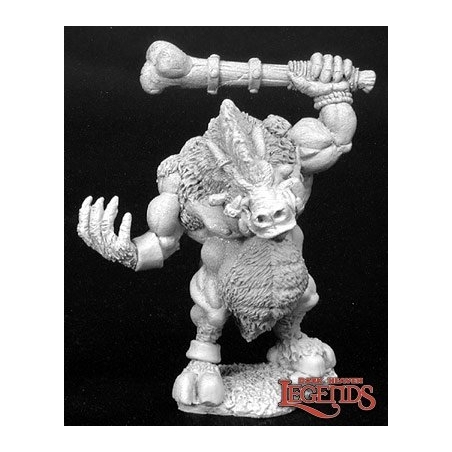 G'nort, Dire Wereboar DARK HEAVEN LEGENDS REAPER MINIATURES