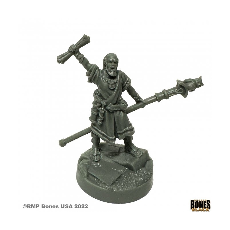Giannis, Greek Mage GREEK ODYSSEY REAPER MINIATURES