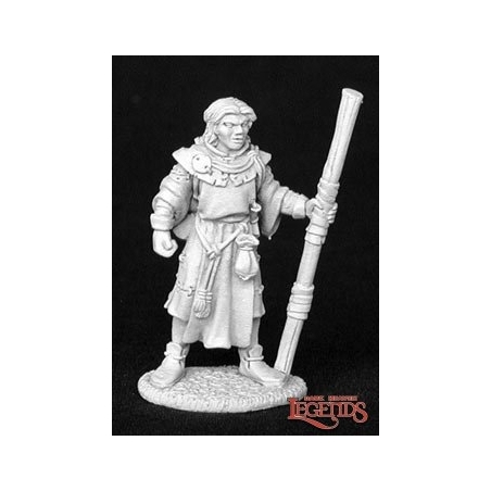 Bertrand, Monk  DARK HEAVEN LEGENDS REAPER MINIATURES