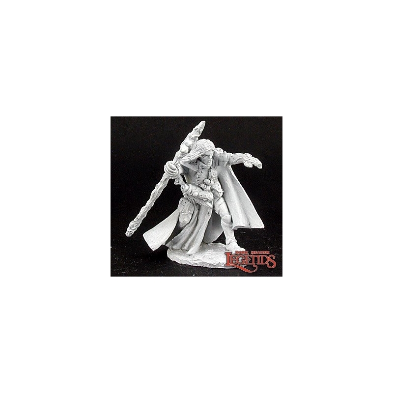 Elquin, High Elf Adventurer Sorcerer DARK HEAVEN LEGENDS REAPER MINIATURES