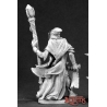 Satheras, Elf Warlock Elf Warlock DARK HEAVEN LEGENDS REAPER MINIATURES