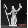 Barrow Warden Mystic DARK HEAVEN LEGENDS REAPER MINIATURES