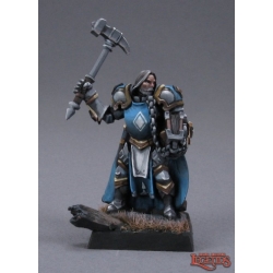 Halbarand Human Cleric DARK HEAVEN LEGENDS REAPER MINIATURES