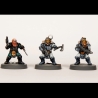 Einherjar (Dwarf/Squats) Boxed Set (24) 28mm WARGAMES ATLANTIC