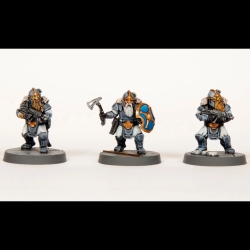 Einherjar (Dwarf/Squats) Boxed Set (24) 28mm WARGAMES ATLANTIC