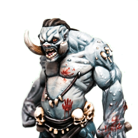 Halftusk Troll Champion 28mm RPG Miniatures SFG GODTEAR