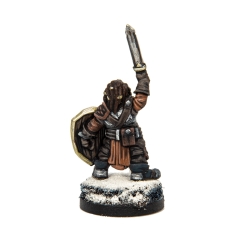 Dwarf Warrior 1 28mm RPG Miniatures SFG GODTEAR