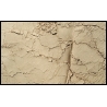 Muddy-Brown WEATHERING POWDERS FRONTLINE GAMES