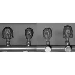 Zombie Vixens (10 + 1) Sprue WARGAMES FACTORY WARLORD GAMES