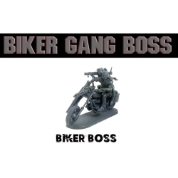 Apocalypse Biker Boss Sprue WARGAMES FACTORY WARLORD GAMES