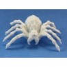 Giant Spider-Bones